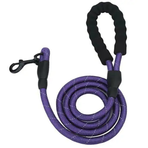 Reflective Braided Dog Leash