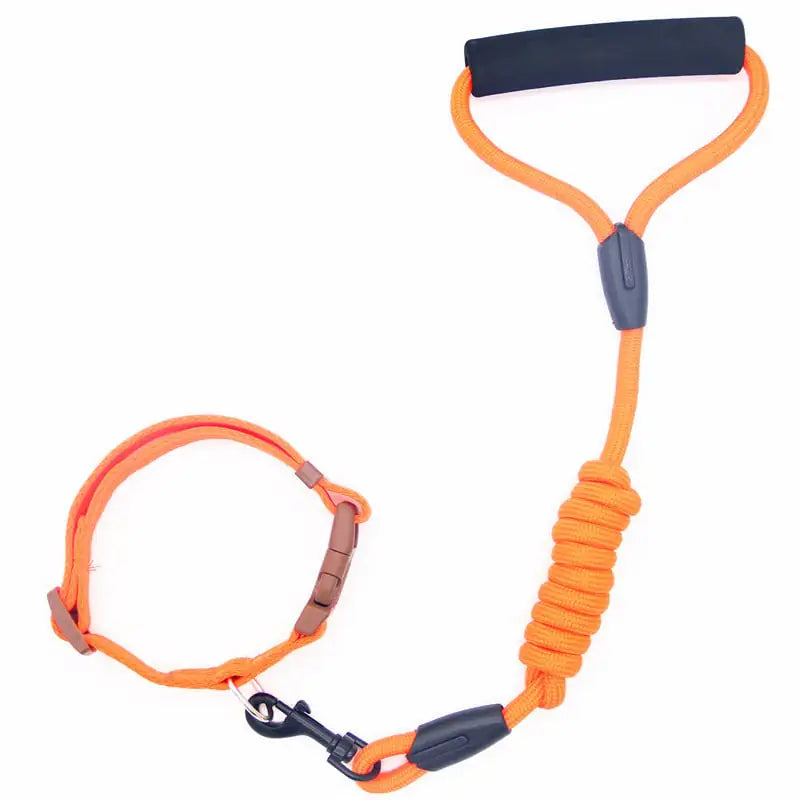 Matching Dog Leash & Collar Set