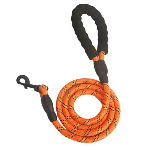 Reflective Braided Dog Leash