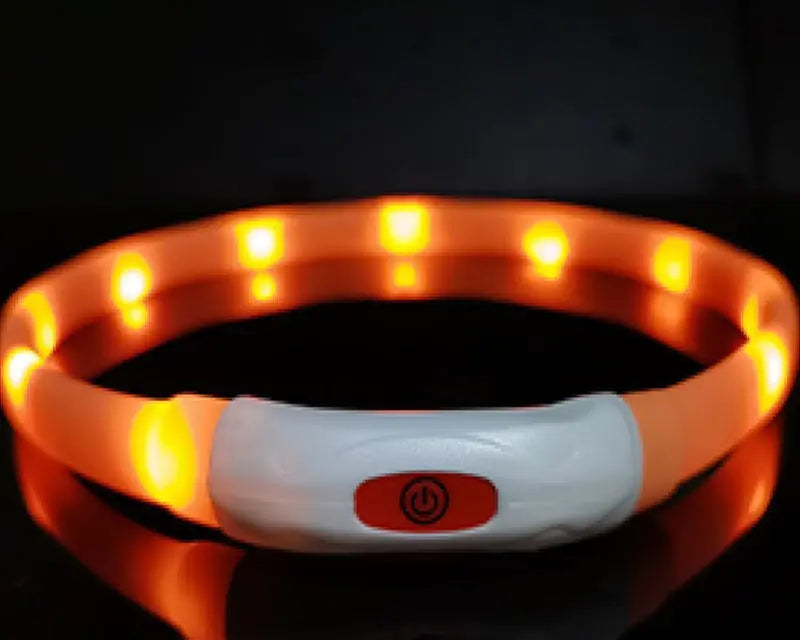USB Rechargeable LED Dog Collar