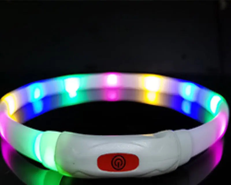 USB Rechargeable LED Dog Collar