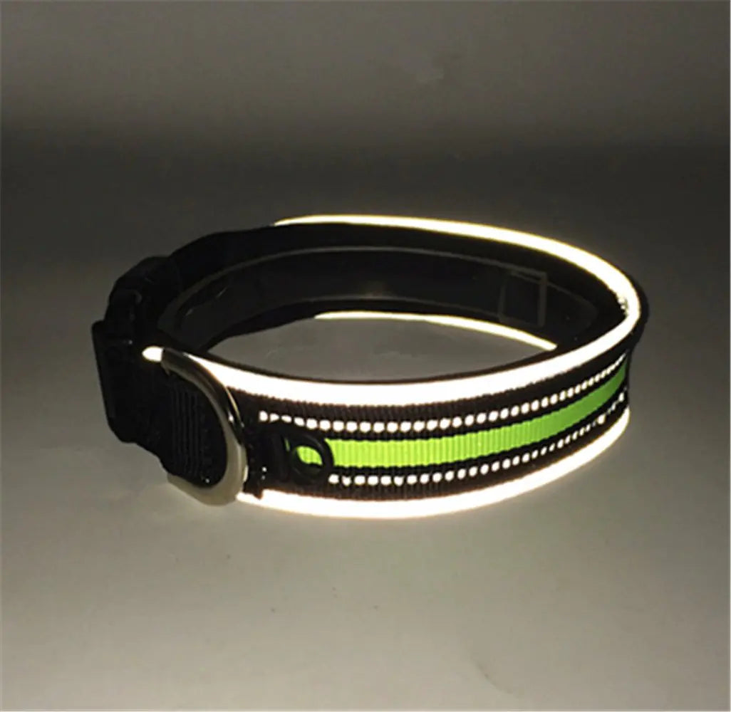 Reflective Velcro Dog Collar