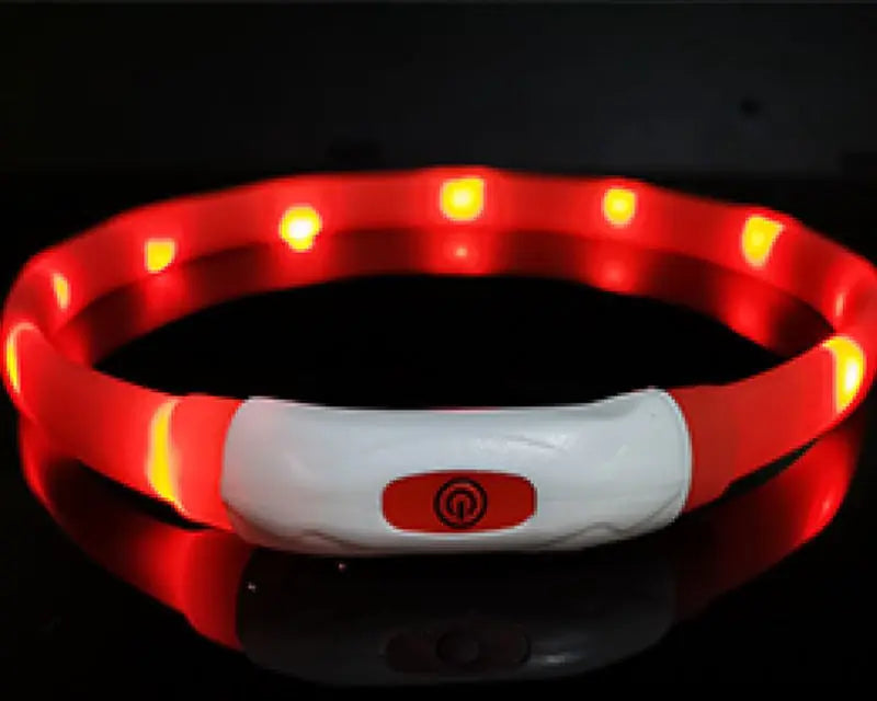 USB Rechargeable LED Dog Collar