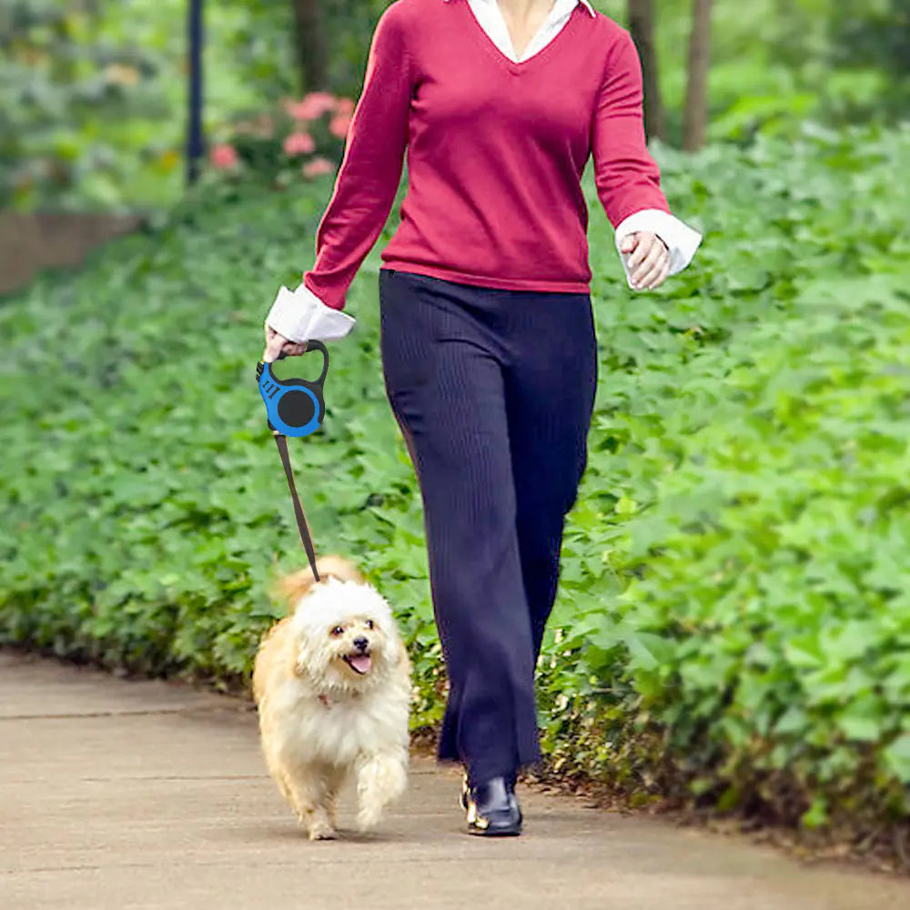 Pet owner using retractable leash set – smooth, hands-on walking control