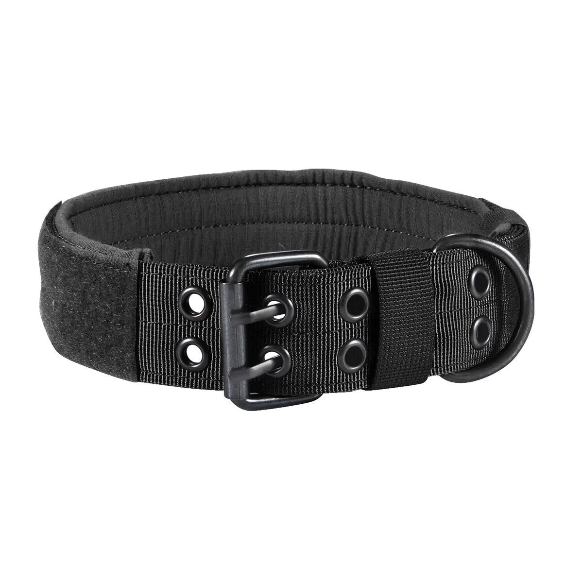 Nylon Anti-Grind Dog Leash and Collar Set