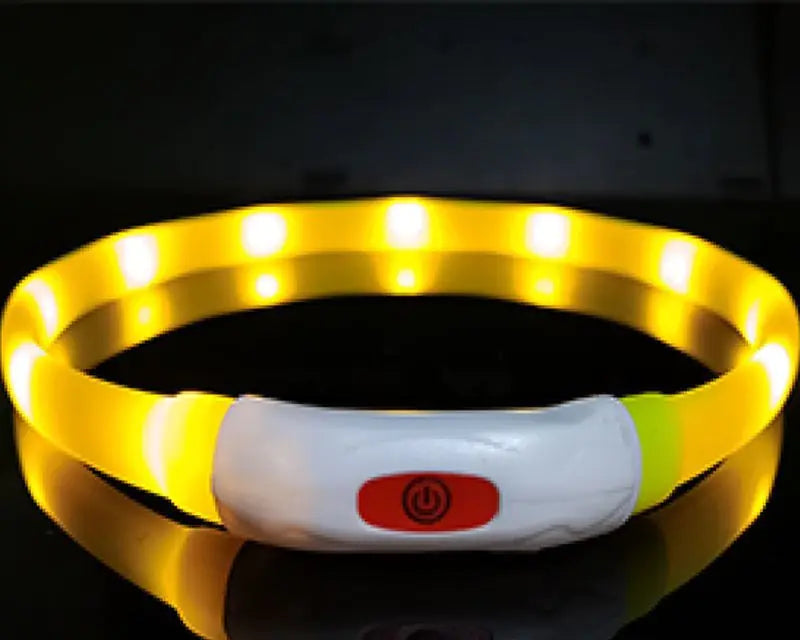 USB Rechargeable LED Dog Collar