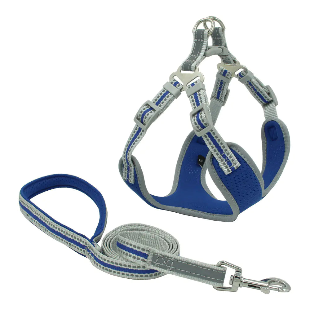 Reflective Breathable Mesh Dog Harness & Leash Set