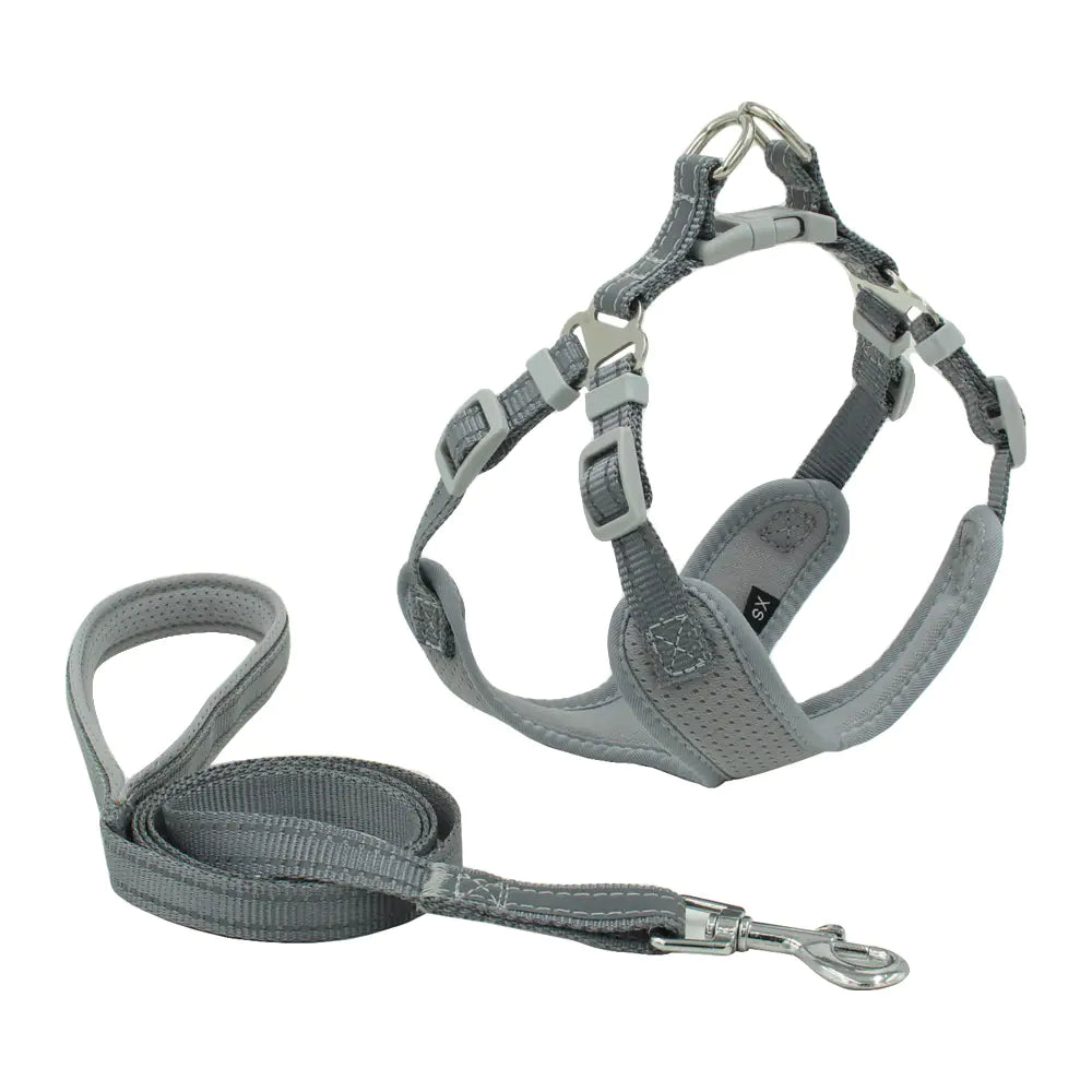 Reflective Breathable Mesh Dog Harness & Leash Set