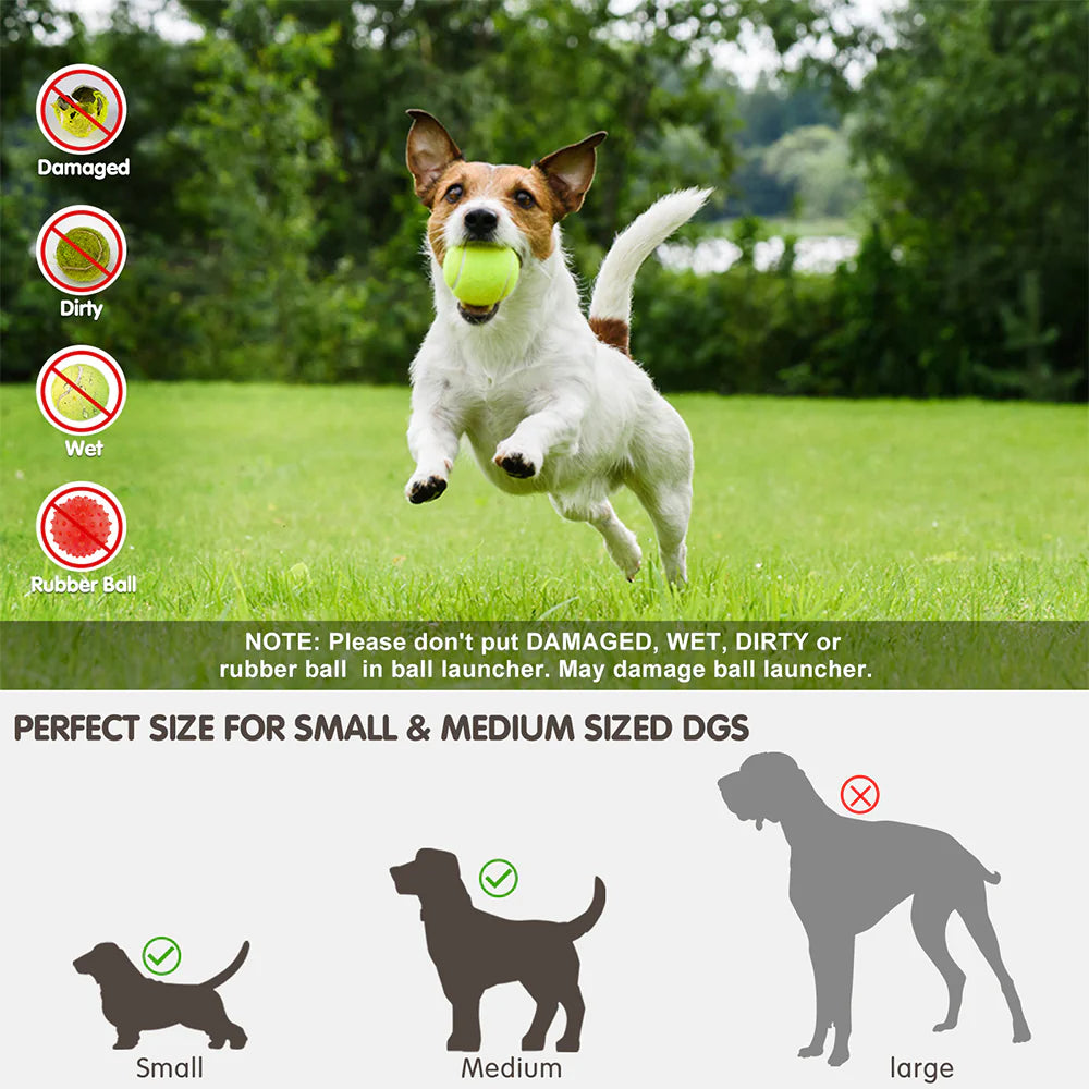 Automatic Ball Launcher for Dogs