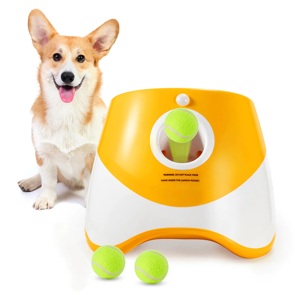 Automatic Ball Launcher for Dogs