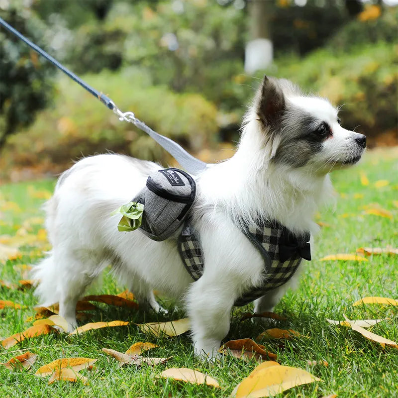 Small white dog wearing grey mini backpack carrier on grassy field