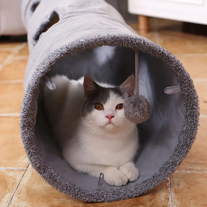 Cat peeking out from a gray cat tunnel on a wooden floor
