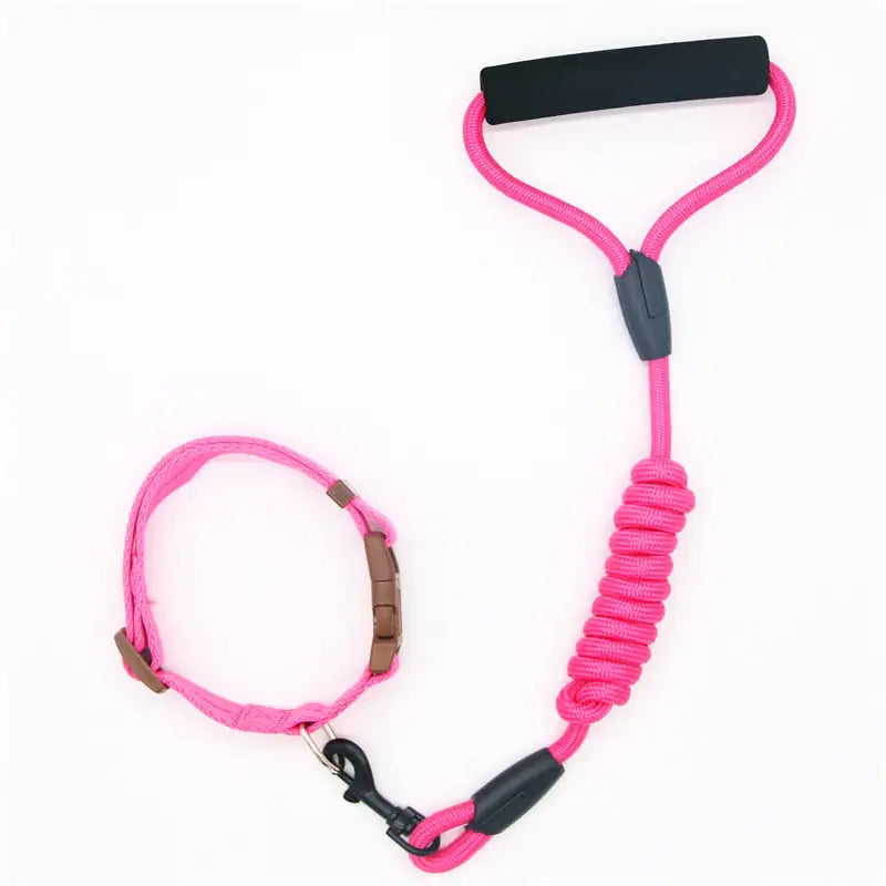 Matching Dog Leash & Collar Set