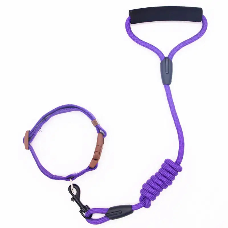 Matching Dog Leash & Collar Set