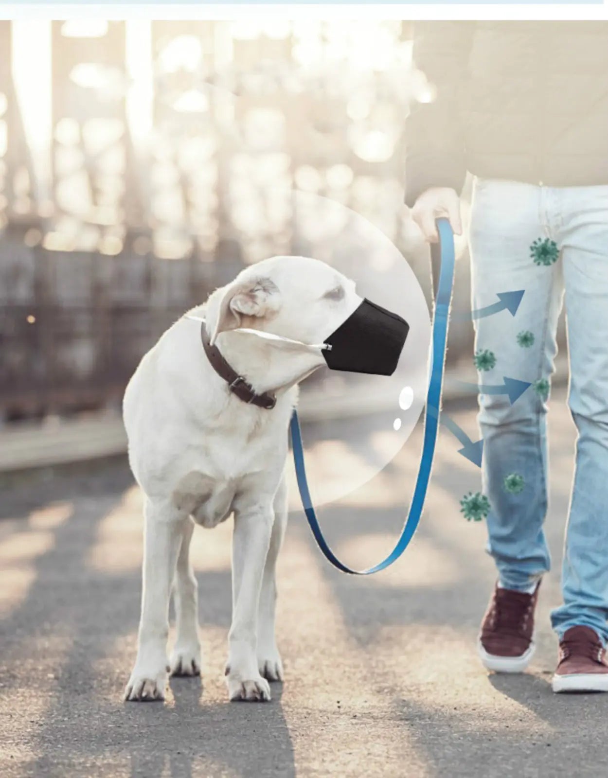 Pet Muzzle for Dogs - Anti-Bite Dog Mask
