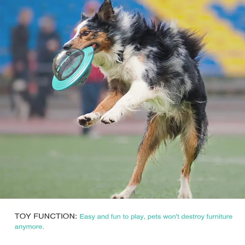Interactive UFO Dog Feeder Toy
