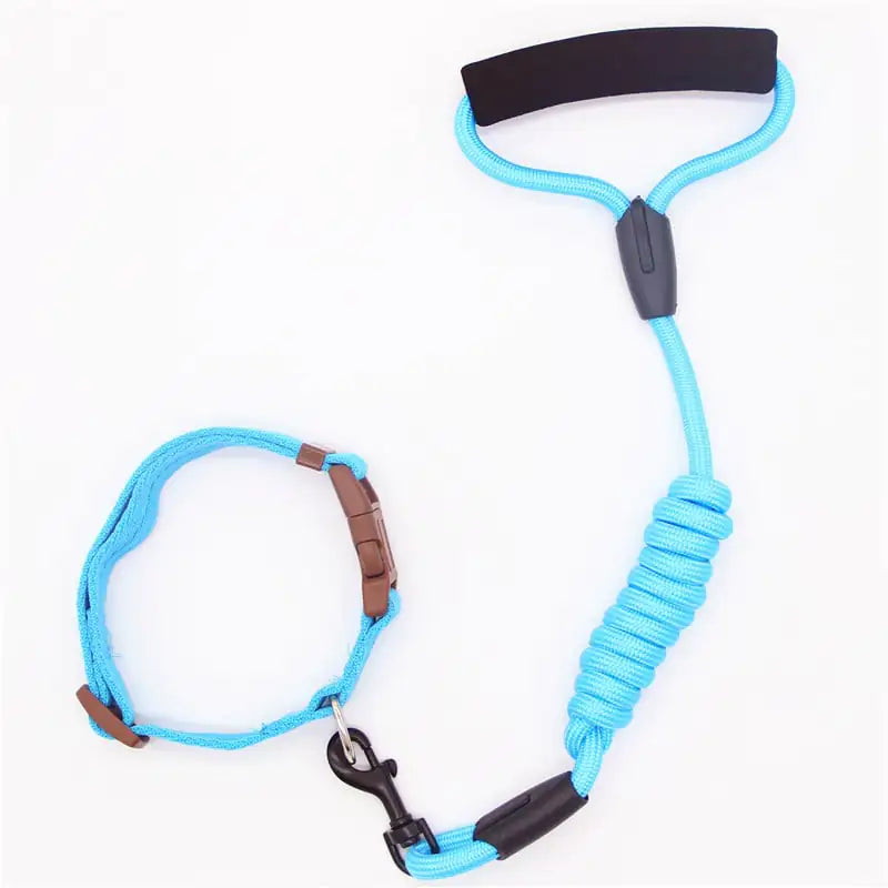 Matching Dog Leash & Collar Set
