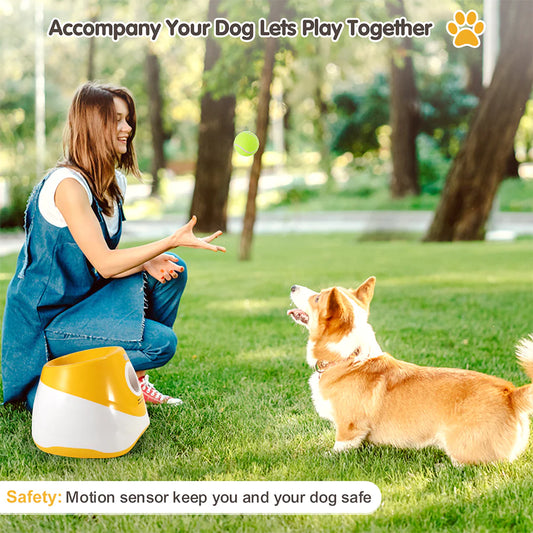 Automatic Ball Launcher for Dogs