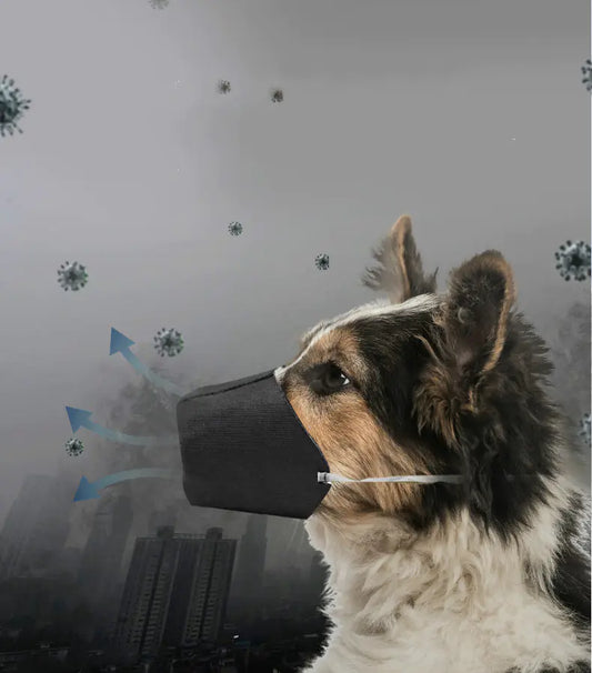Dog wearing a black mask with virus particles and cityscape in the background