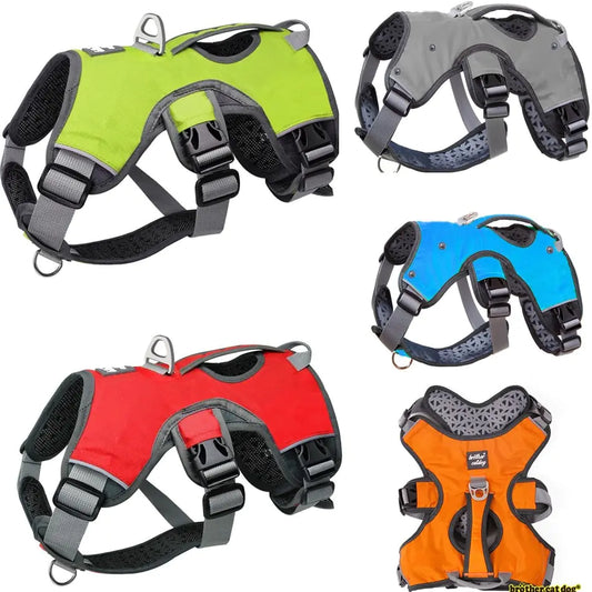 Five dog harnesses in different colors on a white background