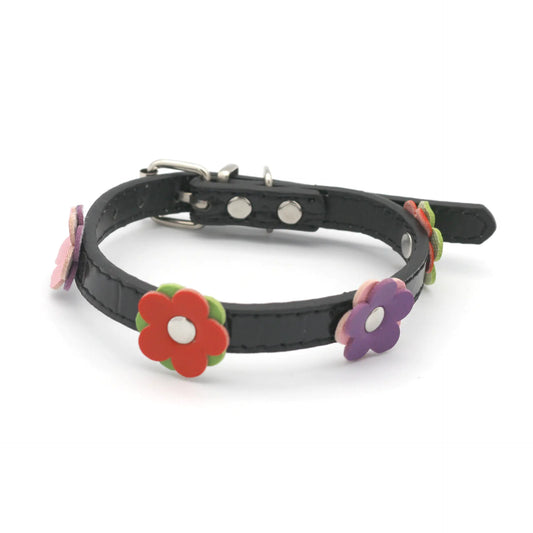 Black leather dog collar with colorful flower-shaped decorations on a white background
