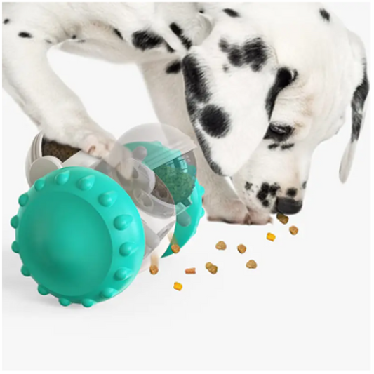 Interactive Pet Toy & Slow Feeder