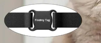 Black 'Findmy Tag' belt buckle on a white background