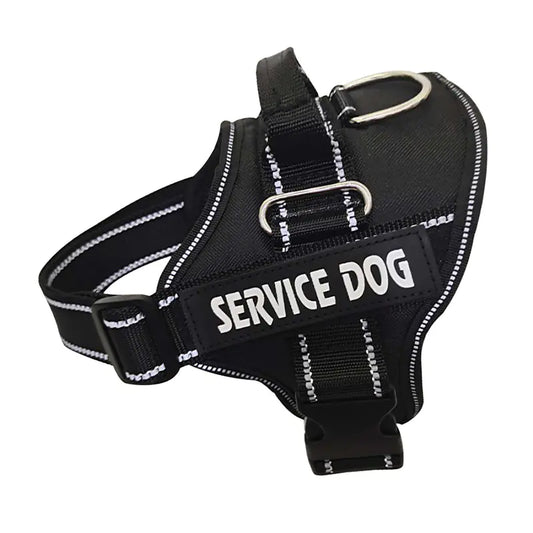 Personalised Dog harness