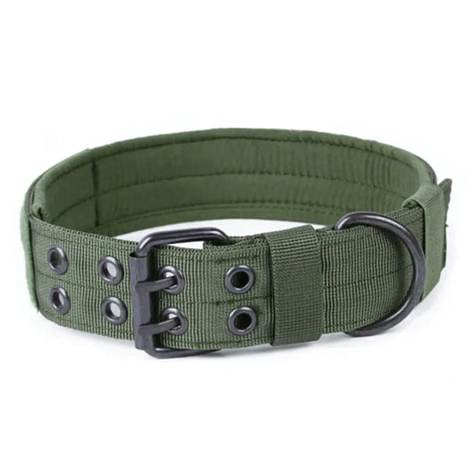 Nylon Anti-Grind Dog Leash and Collar Set
