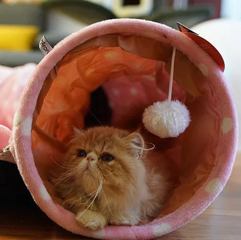 4-in-1 Cat Tunnel Bed