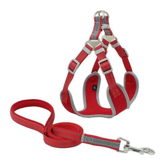 Red dog harness and leash set on a white background