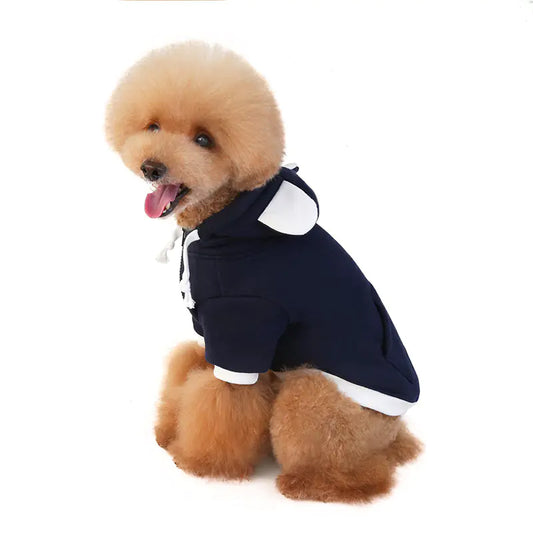 Teddy fleece dog sweater in pink, yellow, or blue warm and soft jumper for small dogs and puppies