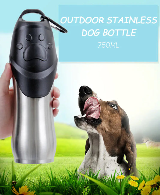 Stainless Steel Pet Water Bottle