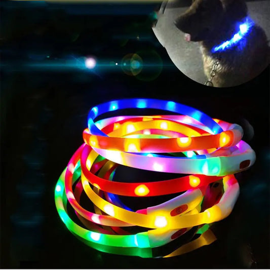 USB Rechargeable LED Dog Collar in multiple colors