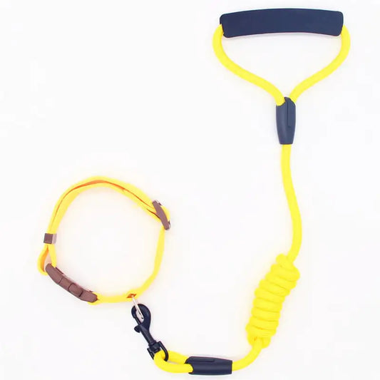 Matching Dog Leash & Collar Set