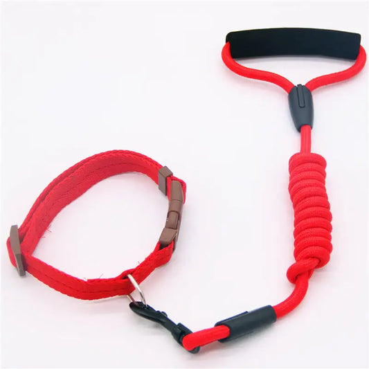 Matching Dog Leash & Collar Set