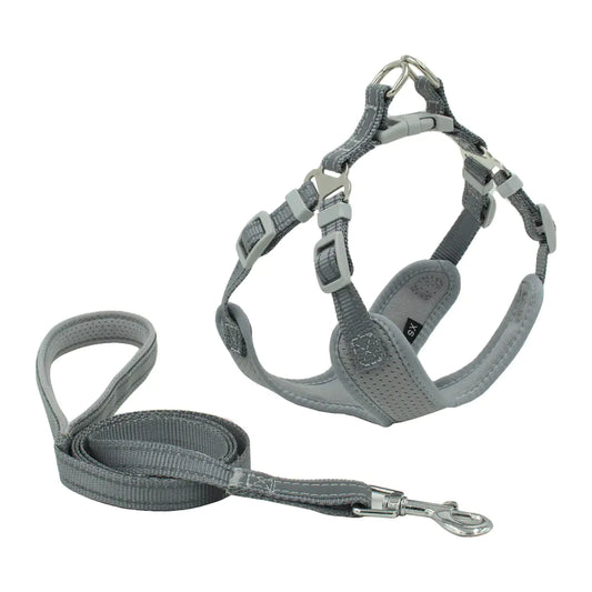 Reflective Breathable Mesh Dog Harness & Leash Set