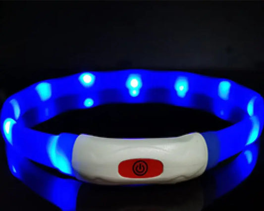 USB Rechargeable LED Dog Collar