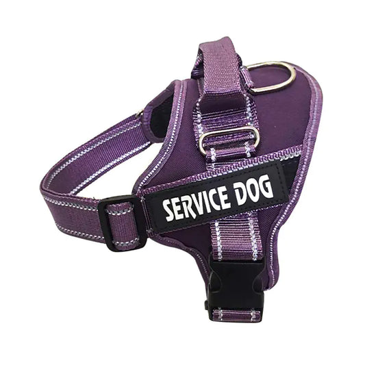 Personalised Dog harness
