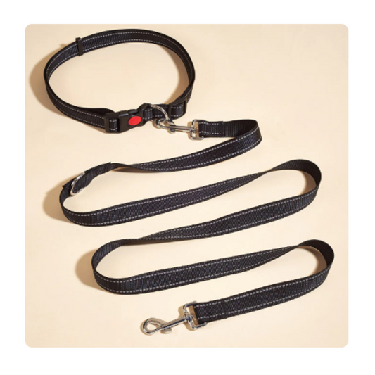 Hands-Free Dog Leash with Waist Strap