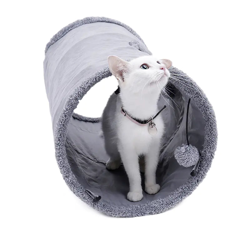 White cat with a black collar standing inside a gray pet tunnel on a white background
