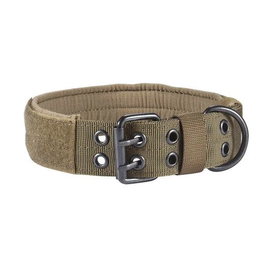Nylon Anti-Grind Dog Leash and Collar Set