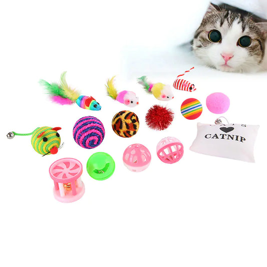 Cat Toy Starter Essentials – 16-Piece Fun & Enrichment Set