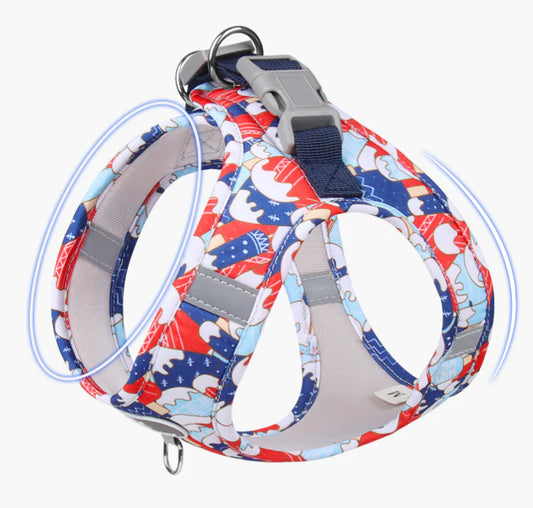 Stylish Reflective Dog Harness & Leash Set