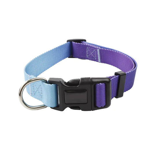 Gradient Nylon Collar & Leash Set
